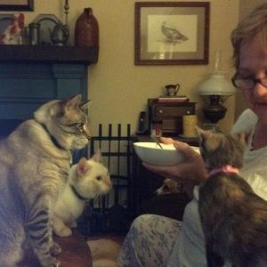 Meet your Posher, Janet